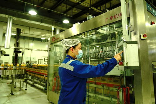 上海 糧油食品企業生產加工忙